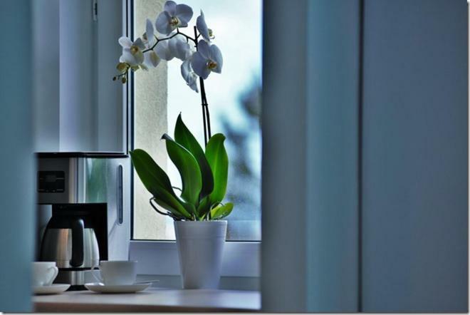 Апартаменты Cozy Base Гданьск Экстерьер фото